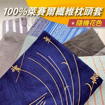 【安迪寢具】100%萊賽爾纖維枕頭套 拉鍊式枕套 拉鍊枕套 水洗枕套 換洗枕套 枕頭套 不退色 不褪色 台灣枕套