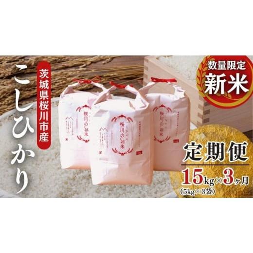 ふるさと納税 茨城県 桜川市 《3ヶ月定期便》  《令和5年産》 新米 茨城県桜川市産こしひかり 15kg（ 5kg × 3袋 ）× 3回 茨城県産 桜川 米 お…