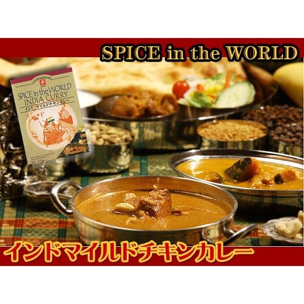 ご当地カレー　インドカレー　６種類１２食　お試しセット（キャニオンスパイス）