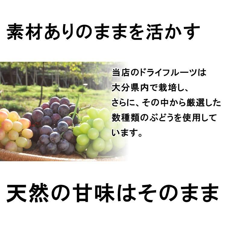 無添加 国産 ドライフルーツ 安心院干しぶどう いろいろミックス 35g レーズン 葡萄 ブドウ 砂糖不使用 産地直送 メール便 ドリームファーマーズ 送料無料