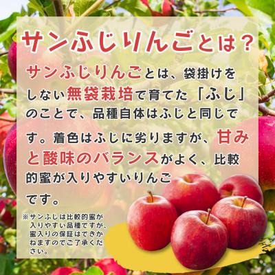 ふるさと納税 寒河江市 山形県産サンふじりんご 約5kg (12〜20玉入り)