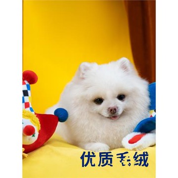 QZee派思維馬戲團狗狗玩具磨牙毛絨發聲耐咬解悶自嗨寵物玩具兒童