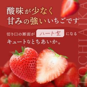 ふるさと納税  いちごっぱなし 旬いちご 1.2kg 栃木県真岡市