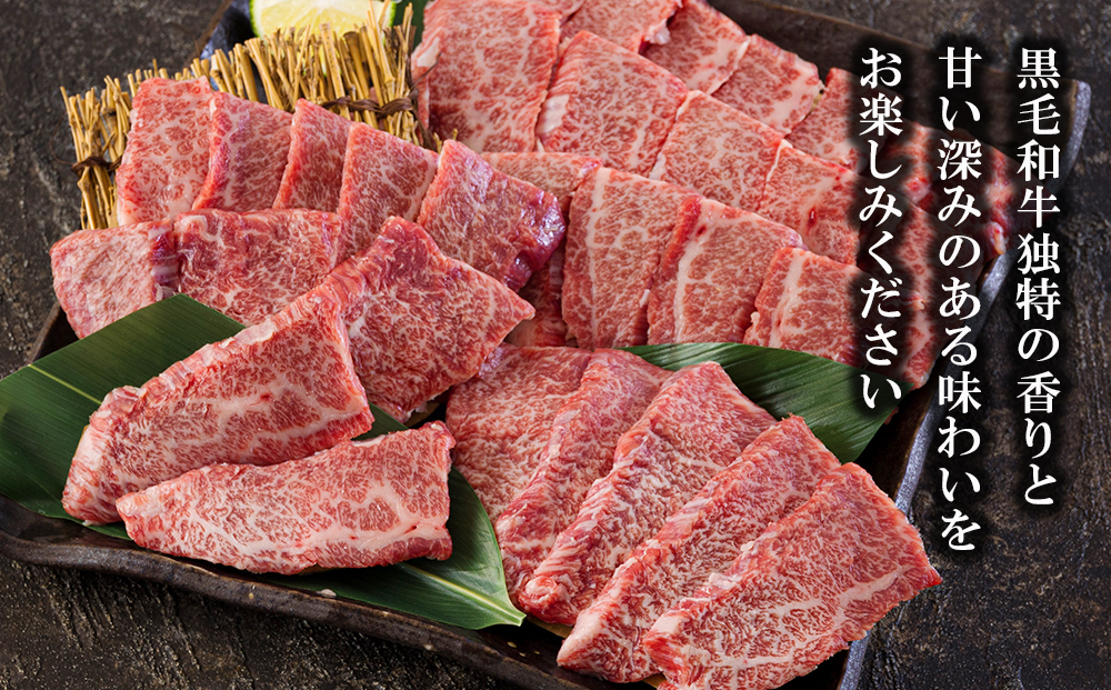 宮崎県産 黒毛和牛 カルビ 焼肉 700g (350×2) 小分け 牛肉 炒め BBQ バーベキュー キャンプ 普段使い 調理 おかず 料理 国産 送料無料 パック 厳選 カルビ丼 クッパ 焼肉丼 スープ チャーハン 生春巻き 照り焼き 甘辛炒め チンジャオロース 青椒肉絲