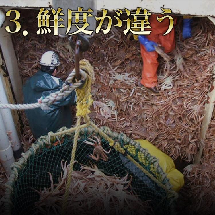 特大ずわいがに脚 5kg 送料無料 冷凍便 ズワイガニ ボイル かに カニ 蟹