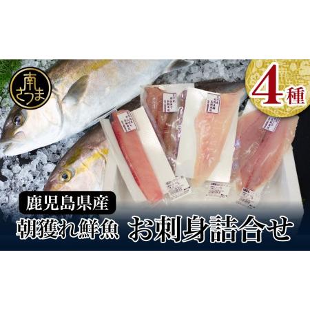 ふるさと納税 ◆お申込みの翌月にお届け◆朝獲れ鮮魚のお刺身詰め合わせ（4種） 魚 冷蔵 刺身 鮮魚 ヤマチョウ 鹿児島県産 海.. 鹿児島県南さつま市