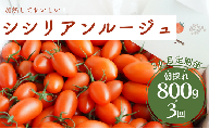 げんき農場の朝採れシシリアンルージュ 800g×3回