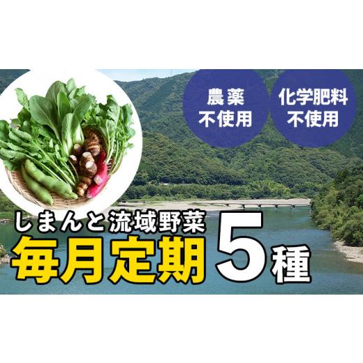 ふるさと納税 高知県 四万十町 しまんと流域野菜つめあわせ（5種類）(定期便12か月コース)　Rfkh-02　／やさい 国産野菜…