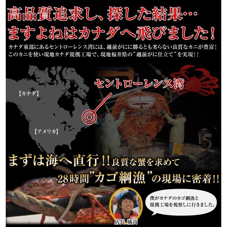 カニ かに ズワイガニ 訳あり品 本ずわい蟹姿 ボイル済み 5〜7尾 総重量3kg カニみそ かに味噌 同梱不可 魚介類 海産物 海鮮