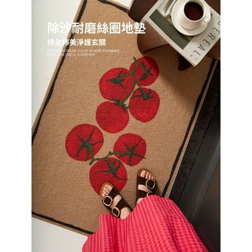 【台灣出貨 可客制化】入戶門地墊輕奢高級感耐髒防滑免洗pvc絲圈玄關門口腳踏墊可裁剪房間地墊 茶幾地毯