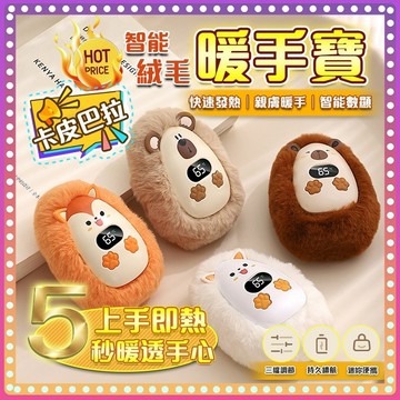 🔥隔日達 毛絨暖手寶【雙面發熱🥇5秒速熱】暖手寶 速熱暖手寶 雙面速熱暖手寶 充電暖手寶 充電暖寶寶 交換禮物 冬日必備