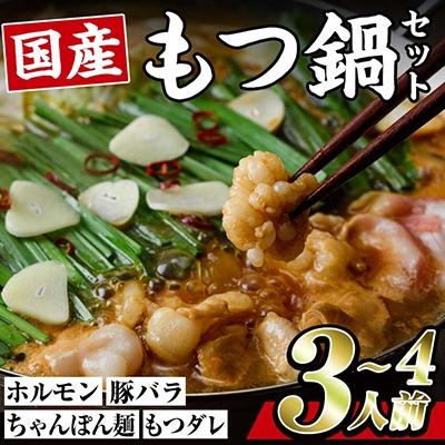 ふるさと納税 佐伯市 モツ鍋 セット (3-4人前・ホルモン500g・豚バラ300g・ちゃんぽん麺2玉・もつダレ1本)