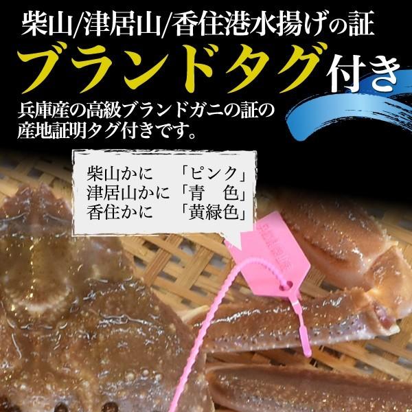 茹で 松葉ガニ 約700〜800g ズワイガニ ボイル済 クール発送 獲れたて 限定販売 カニ 蟹 かに 松葉かに まつばかに 販売