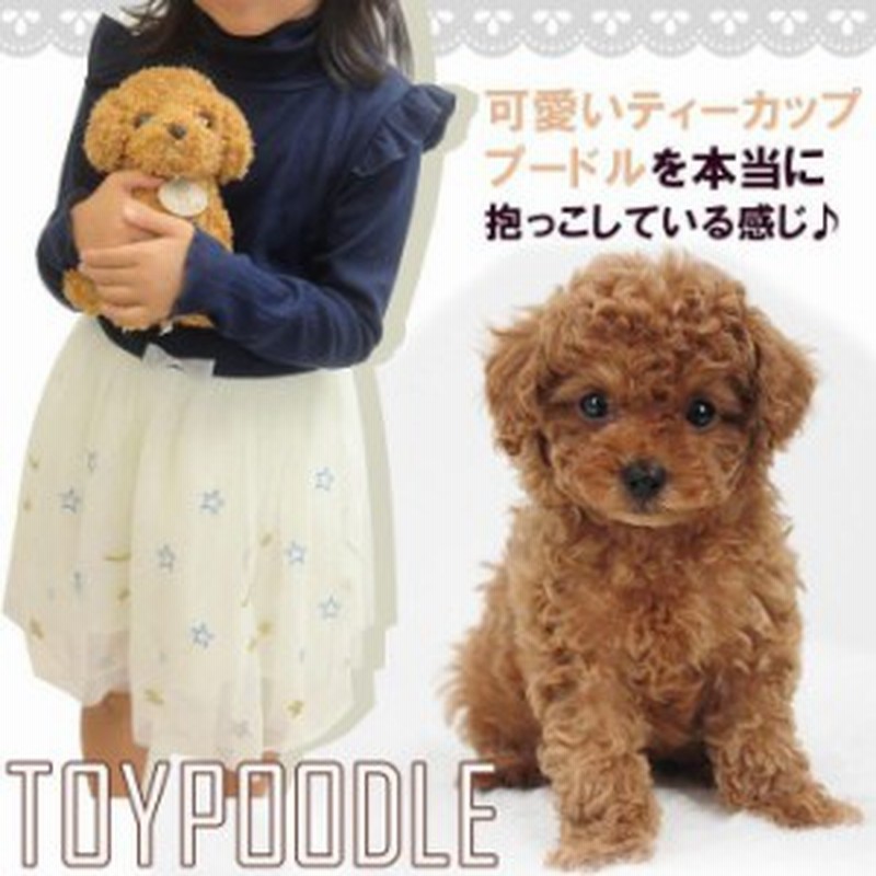 ぬいぐるみ 犬 トイプードル 動物 いぬ 子供 キッズ こども 女の子 誕生日 ギフト プレゼント 25cm 通販 Lineポイント最大get Lineショッピング