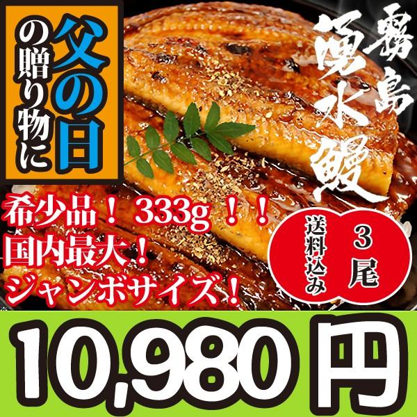 国産最大サイズ！山椒付き！333g山田水産が世界に誇る霧島湧水のうなぎの蒲焼き約333g 3本