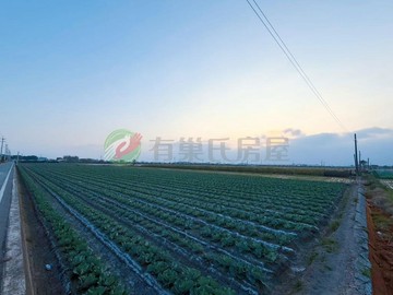 【南彰化|近國道|中科】臨外環道|地形方正｜彰化縣埤頭鄉中和段