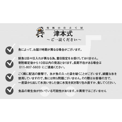 ふるさと納税 宮崎県 宮崎市 《津本式》西米良サーモン２尾 〜津本光弘本人仕立て〜_M135-005_03