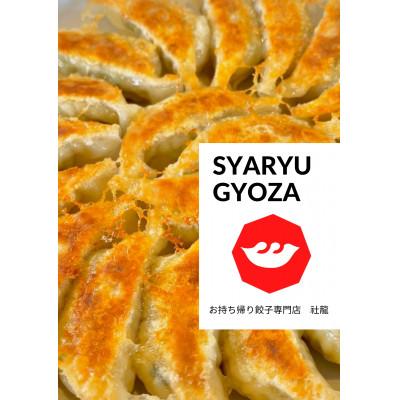 ふるさと納税 田原市 田原ぎょうざ 100個