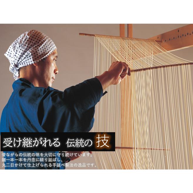 うどん 冬季 期間限定  半生うどん 100ｇ １人前 手延べ コシ が 強く つるつる 東北 福島 やない製麺