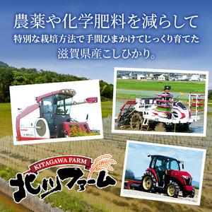 ふるさと納税 米 定期便 10ヶ月連続 近江米 ミルキークイーン 5kg 令和5年 お米 こめ コメ おこめ 白米 10回 お楽しみ 滋賀県豊郷町