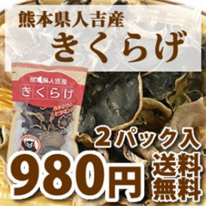 乾燥 きくらげ 20g x 2袋 希少 国産 熊本県産 人吉市産 キクラゲ 木耳 送料無料 代引不可