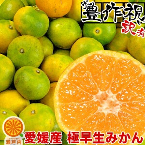 愛媛産 極早生みかん 5kg 訳あり( 約0.5kg多め)不揃い 愛媛県産 フルーツ 美味しいみかん ご家庭用 果物 くだ