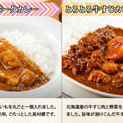 先行受付北海道 倶知安 カレー 4種 食べ比べ 各5個 計20個 中辛 スープカレー ビーフカレー ポークカレー 牛すじカレー じゃがいも 牛 牛肉 豚肉 肉 鳥 鶏 お