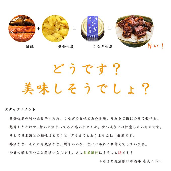 うなぎ生姜 3個セット 高知県産 うなぎ と 黄金生姜 を使用したご飯によく合う逸品！お茶漬けもおすすめ！ しょうが 鰻 蒲焼のタレ 四万十 おつまみ