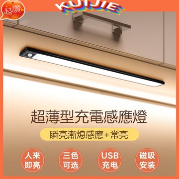 磁吸燈 人體感應燈  LED 櫥櫃燈 長條燈 壁畫燈 USB小夜燈 充電感應燈 玄關燈 燈 80CM KUIJIE