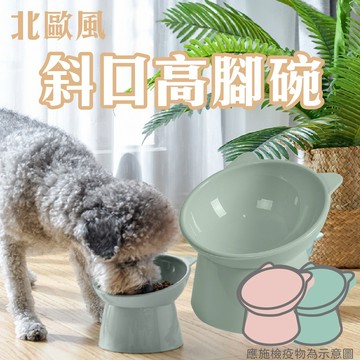 北歐風 斜口高腳碗 寵物碗 狗碗 貓碗 斜面高腳碗 斜面碗 斜面貓碗 斜面狗碗 飼料碗 高架碗【HIGHCP寵物百貨】