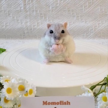 【客製羊毛氈】擬真倉鼠展示 (三線鼠)