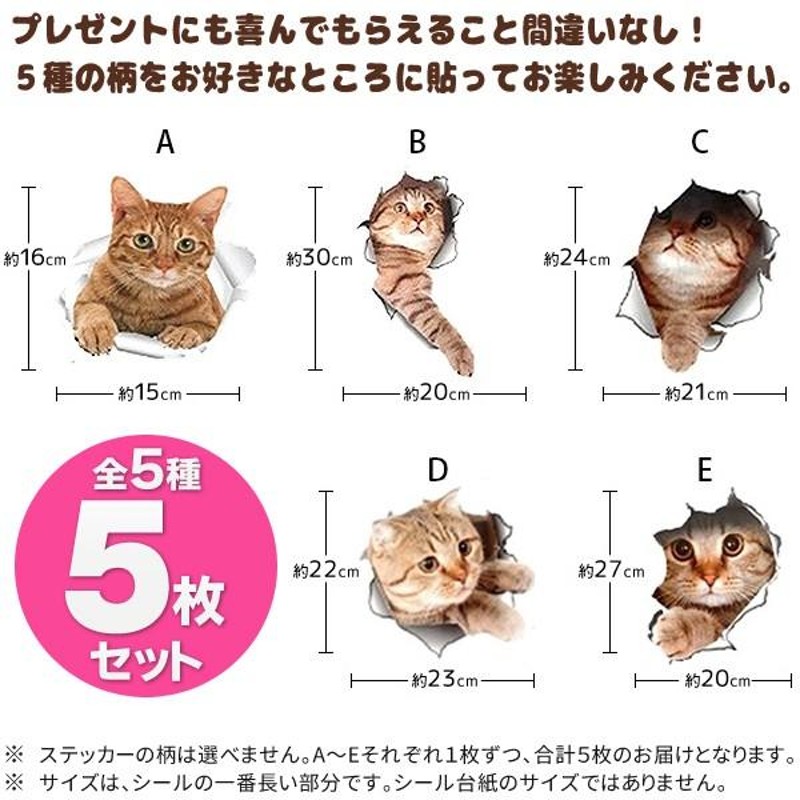 ウォールステッカー 5枚セット 子猫 猫 ねこ 三毛猫 ネコ 5匹 アニマル