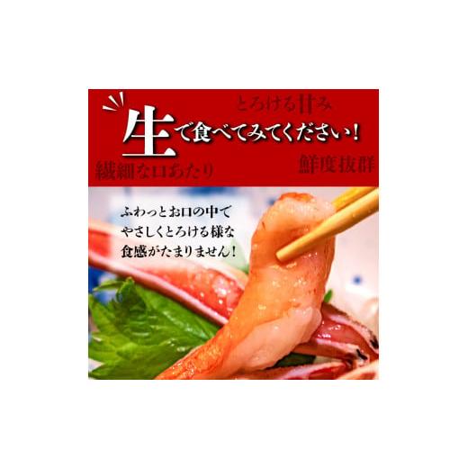 ふるさと納税 北海道 石狩市 130029 本ズワイガニのポーション(500g)(約2人前)