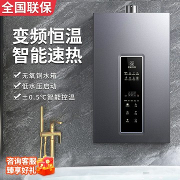 批發 零冷水燃氣熱水器家用天然氣液化氣煤氣恒溫平衡式燃氣款16L