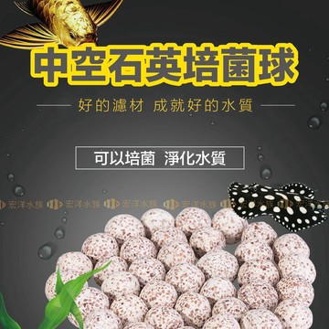 宏洋📣【頂級 中空石英培菌球】✨培養厭氧菌 改善水質〞中空培菌球 陶瓷珠 過濾 濾材 圓桶 外掛 底濾缸 濾材
