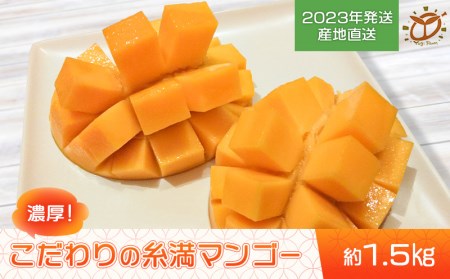 濃厚！こだわりの糸満完熟マンゴー　約1.5kg