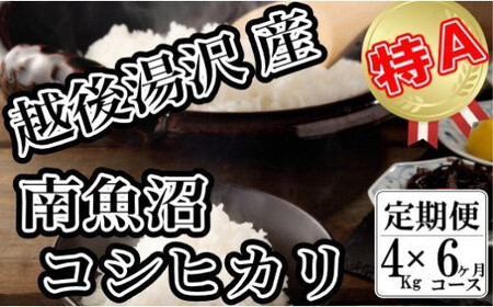 令和5年産「越後湯沢産」