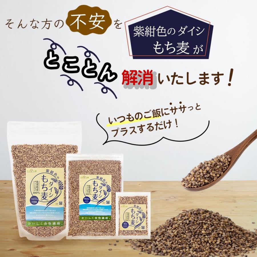 もち麦 国産 ダイシモチ 佐賀県産100% 紫紺色のダイシもち麦 1600g リフ工房 もちむぎ 国産 もち 麦 麦飯 麦ごはん 麦ご飯 チャック袋付き スタンドパック