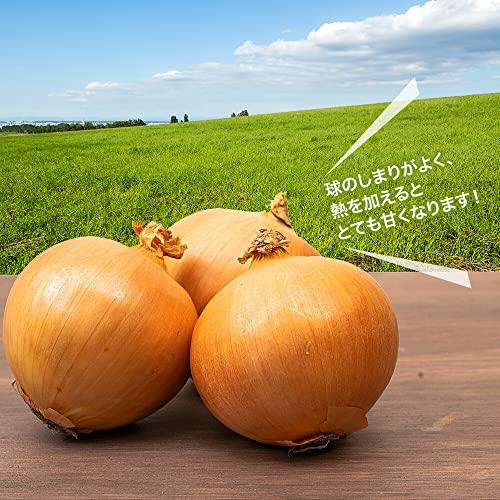 たまねぎ 国産 Ｌ〜２Ｌ 玉葱 ご家庭用 大量 野菜 玉ねぎ (2kg)