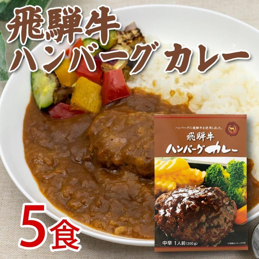 飛騨牛 ハンバーグカレー　5食セット レトルト　まとめ買い