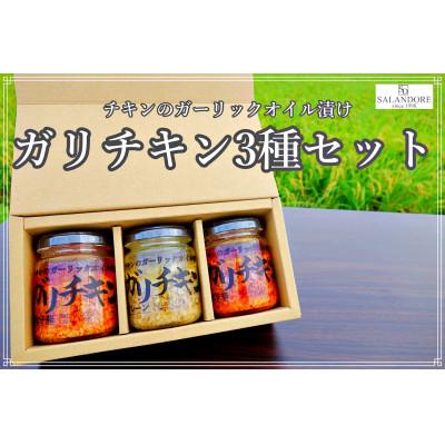 ふるさと納税 朝倉市 ガリチキン　全種類セット 110g×3本