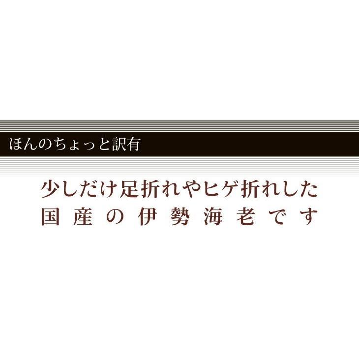 送料無料　活伊勢海老　活きたまま発送します　ほんのちょっとワケあり、標準サイズ　2尾　500g[活伊勢海老]