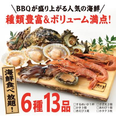 ふるさと納税 越前町 冷凍便でお手軽! 厳選の海鮮BBQ≪A≫セット(6種13品、3〜4人用)