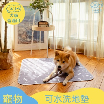 寵物可水洗地墊 潔牙墊 【小小毛孩】