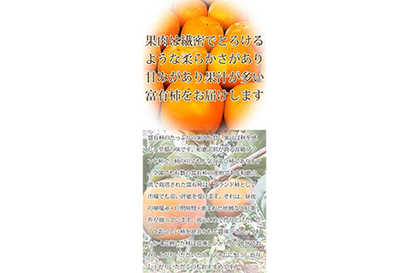 和歌山秋の味覚　富有柿　約７．５ｋｇ「2024年11月上旬以降発送予定」