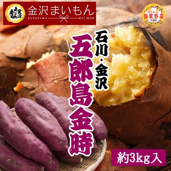 さつまいも 五郎島金時 Mサイズ 3kg サツマイモ さつま芋 加賀野菜 石川県産 金沢まいもん寿司厳選 焼き芋 ふかし芋 五郎島金時1箱3kg