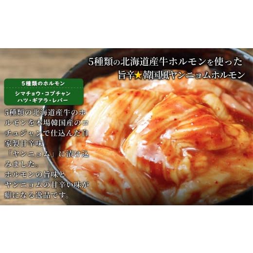 ふるさと納税 北海道 池田町 3種の北海道焼肉セット(ジンギスカン・道産味付豚ホルモン・道産牛甘辛ヤンニョムホルモン)1.5kg