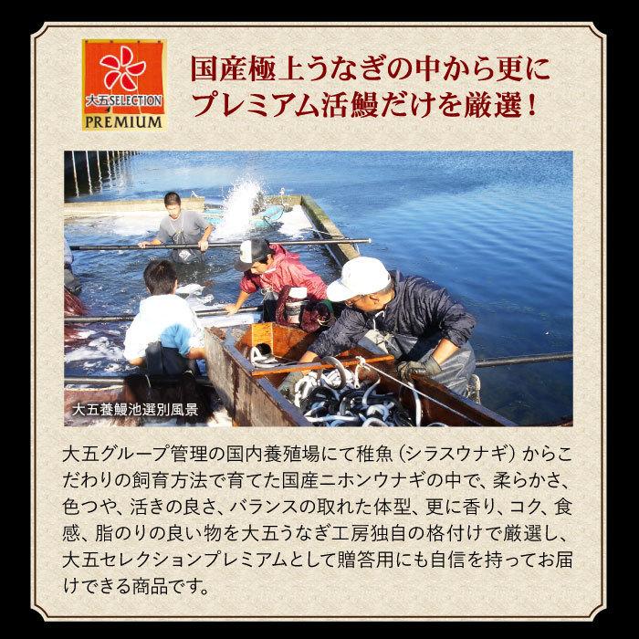 国産うなぎ蒲焼 うなっ娘ハーフカット 4枚セット うなぎ 鰻 ウナギ 国産 グルメ お礼 誕生日 内祝い ギフト