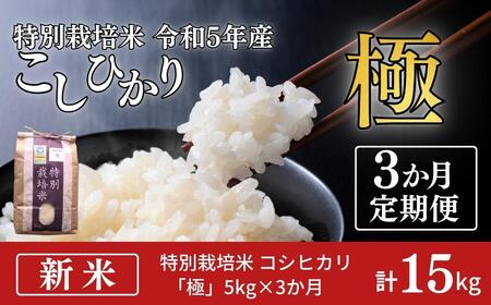 定期便 3ヵ月 コシヒカリ「極」5kg×3ヶ月 特別栽培米 新米こしひかり こしひかり定期便 お米の定期便 計15kg (コシヒカリ5kg×3個)  白米3か月 新潟県産 特別栽培米 特栽米 精米 お米 