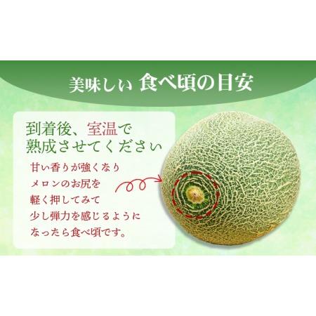 ふるさと納税 幸せの「タカミメロン」3玉〜4玉（約2kg以上） 香川県東かがわ市